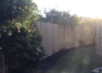 IMG_2545_1499384849189