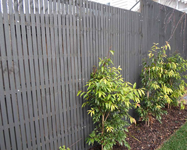 Treated Pine Vertical Screens Display