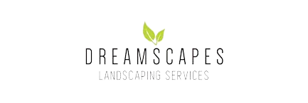 Dreamscapes